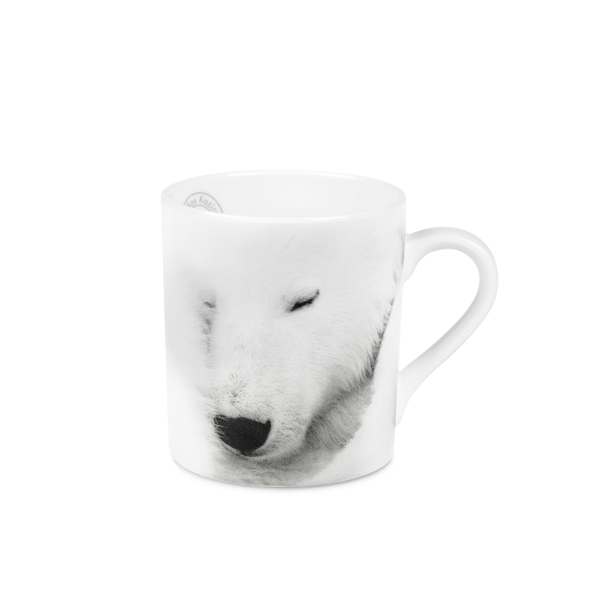 mug ours polaire qui fait la sieste
