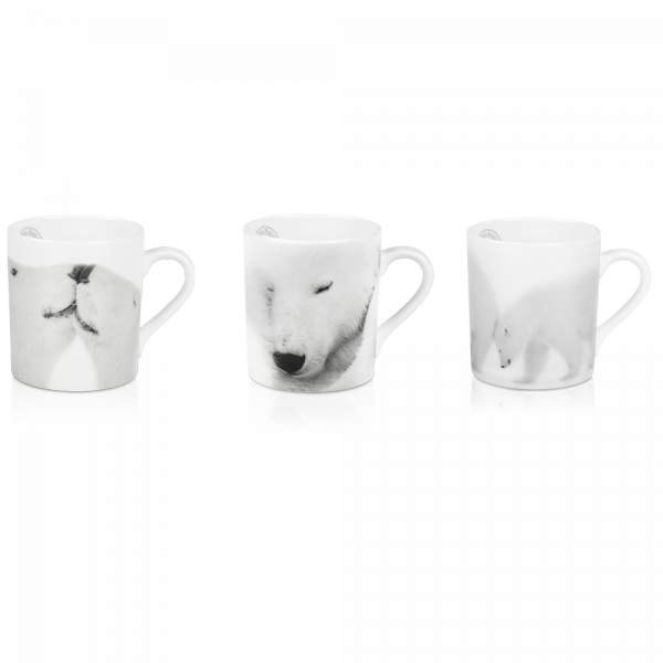 Photo de 3 mug artic emotion