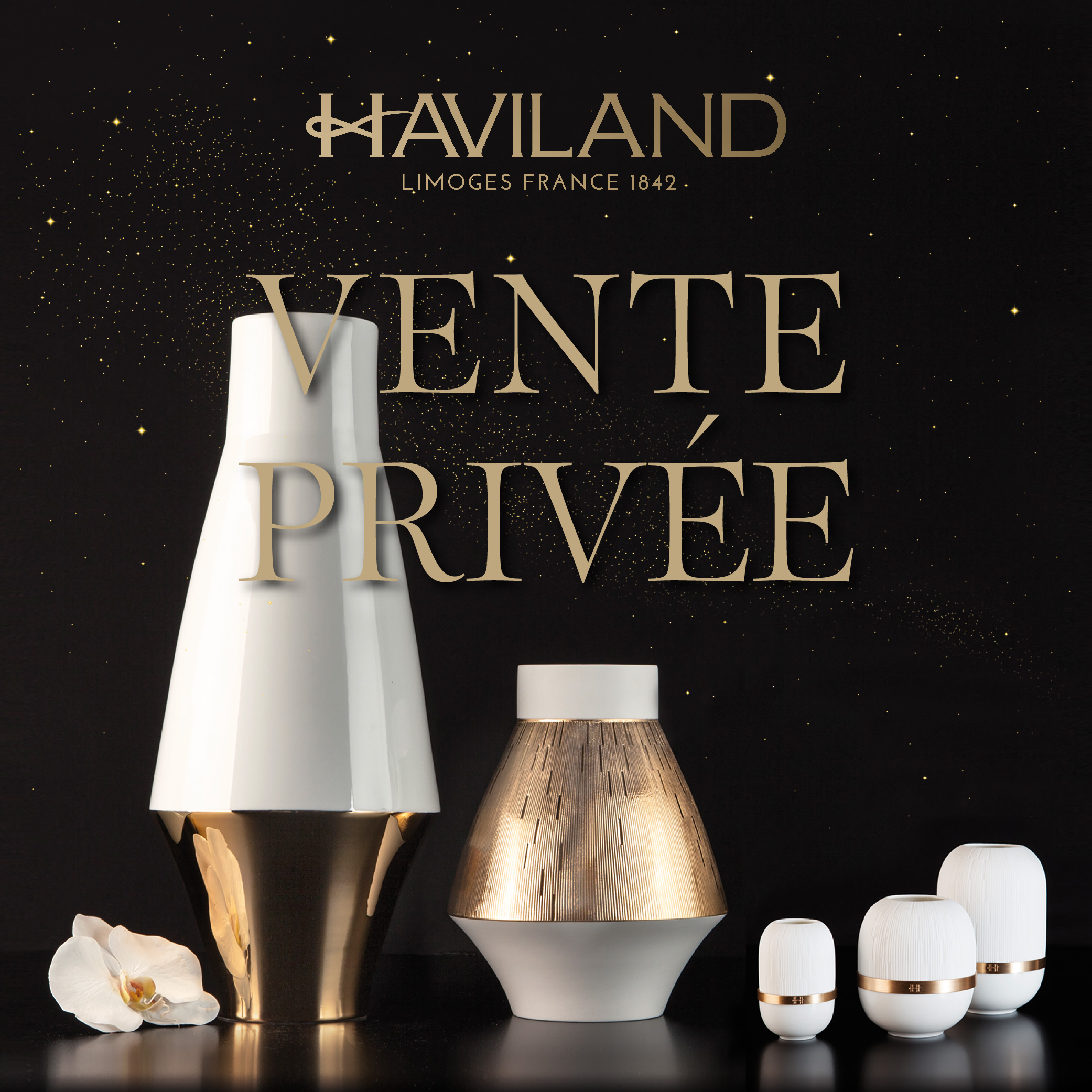 VENTE PRIVEE Haviland